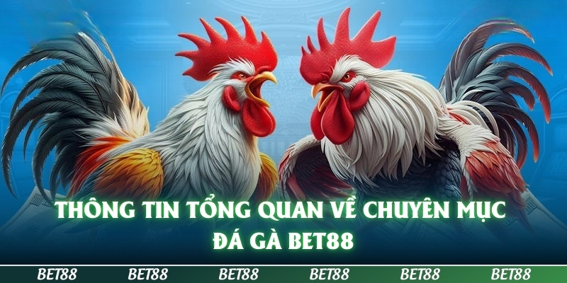 Đá Gà BET88 - Đặt Cược Chọi Gà Uy Tín Số 1 Tại BET88 1 đá gà BET88